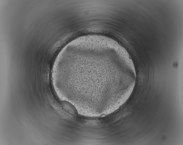 X0000114410446200911061605