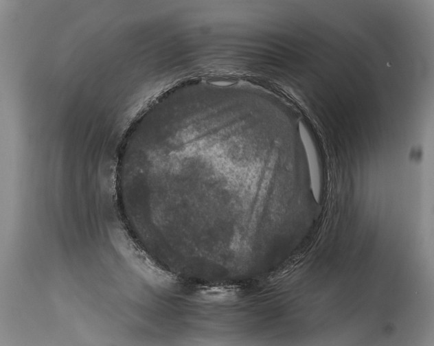 X0000114410447200911061605