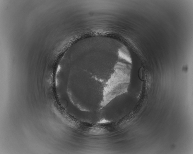 X0000114410451200911061605