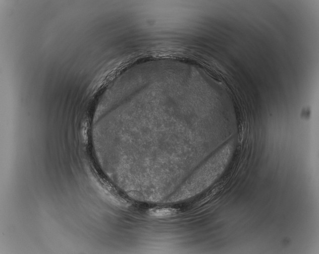 X0000114410452200911061605