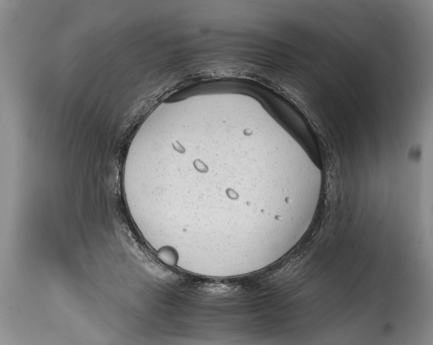 X0000114410453200911061605