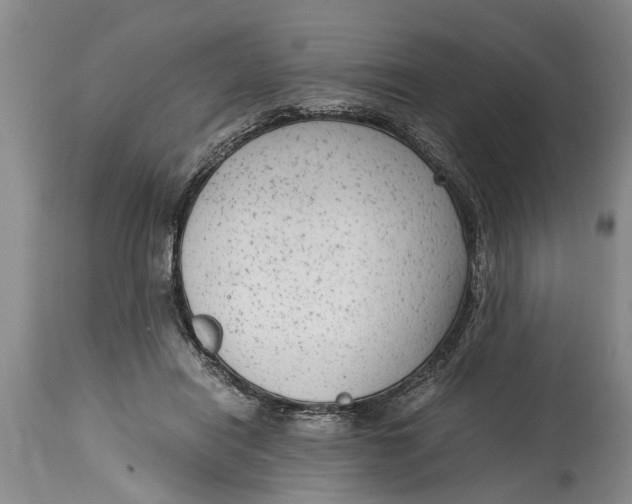 X0000114410454200911061605