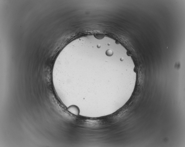 X0000114410457200911061605