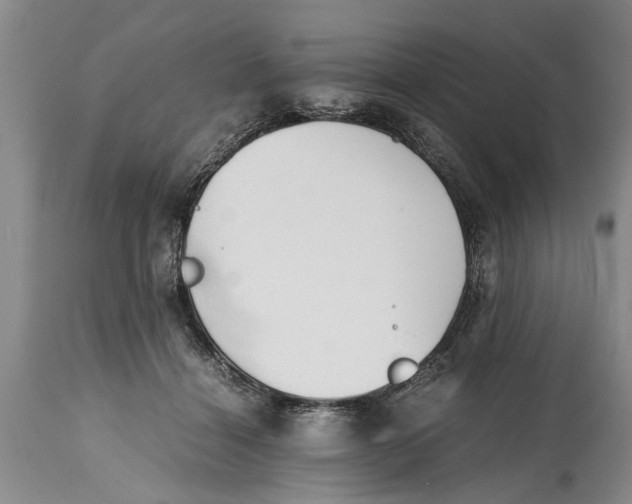 X0000114410460200911061605