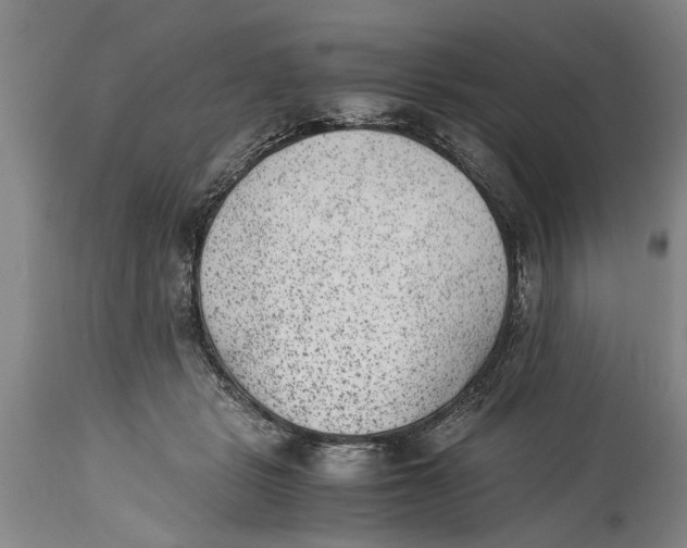 X0000114410461200911061605