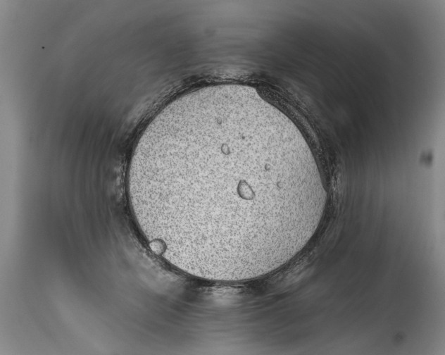 X0000114410462200911061605