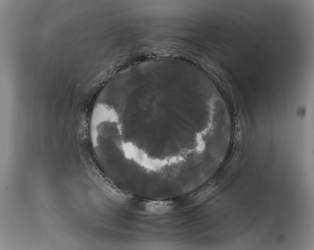 X0000114410465200911061605