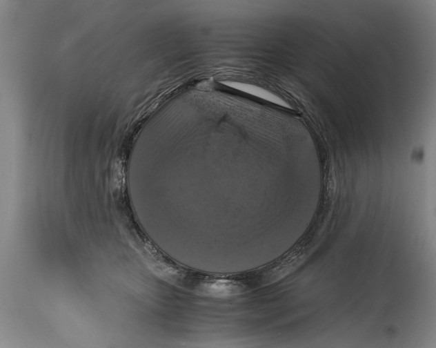 X0000114410467200911061605