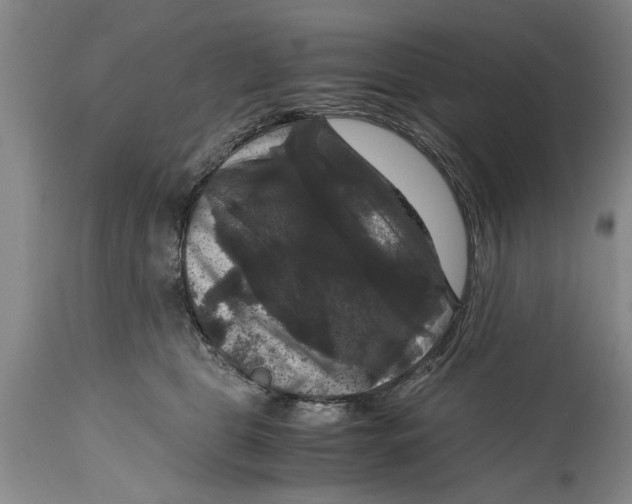 X0000114410469200911061605