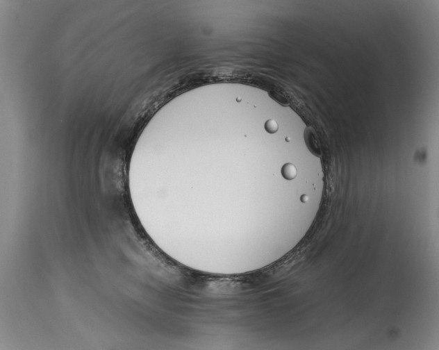 X0000114410470200911061605