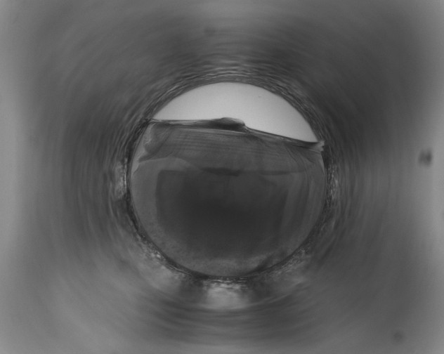 X0000114410471200911061605