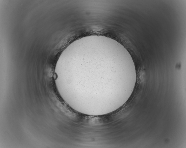 X0000114410472200911061605