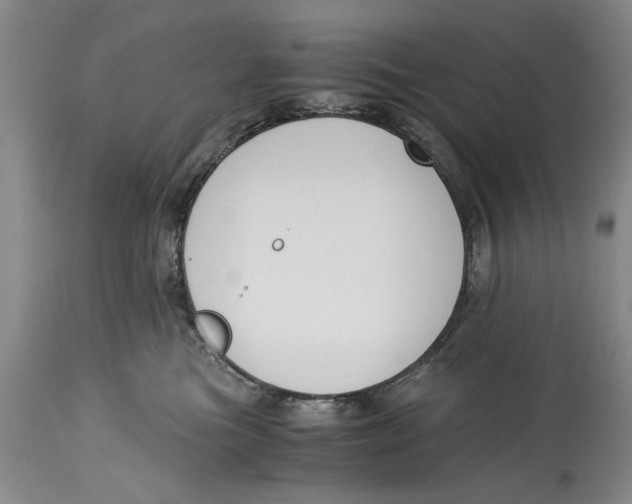 X0000114410473200911061605