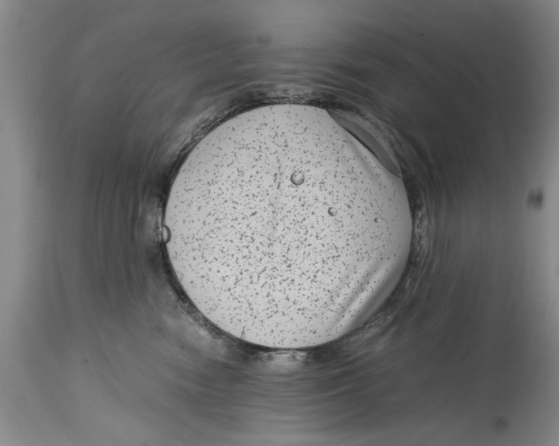 X0000114410474200911061605