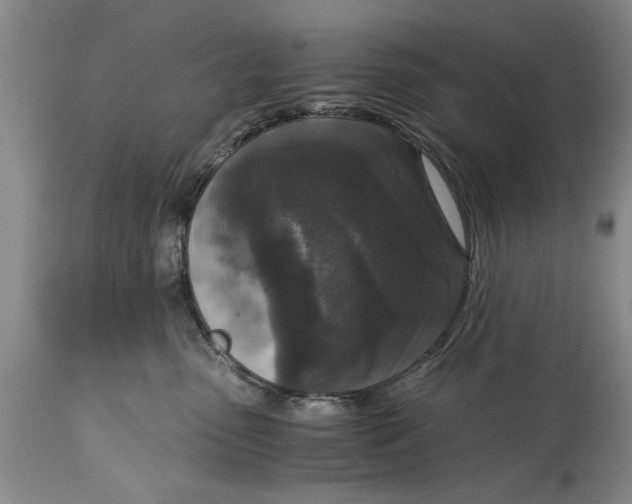 X0000114410475200911061605