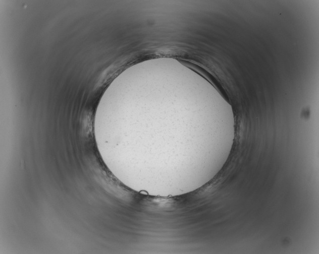 X0000114410478200911061605