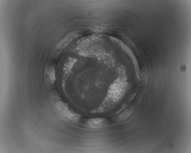 X0000114410479200911061605