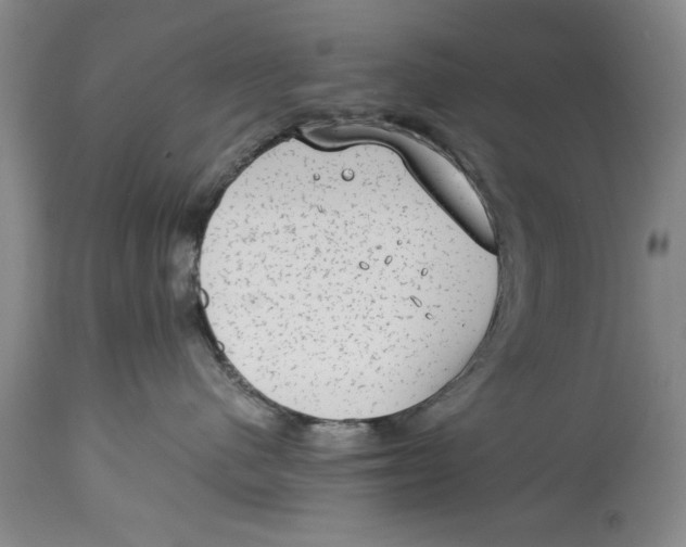 X0000114410480200911061605