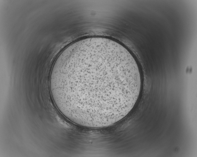 X0000114410481200911061605