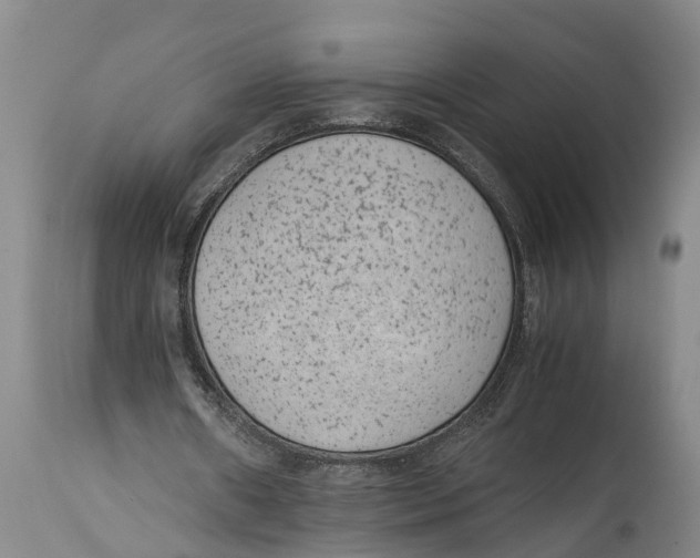 X0000114410482200911061605