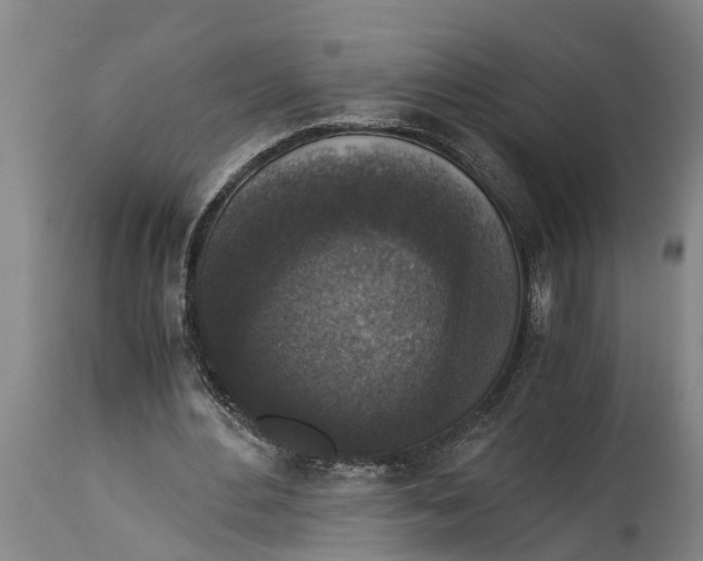 X0000114410484200911061605