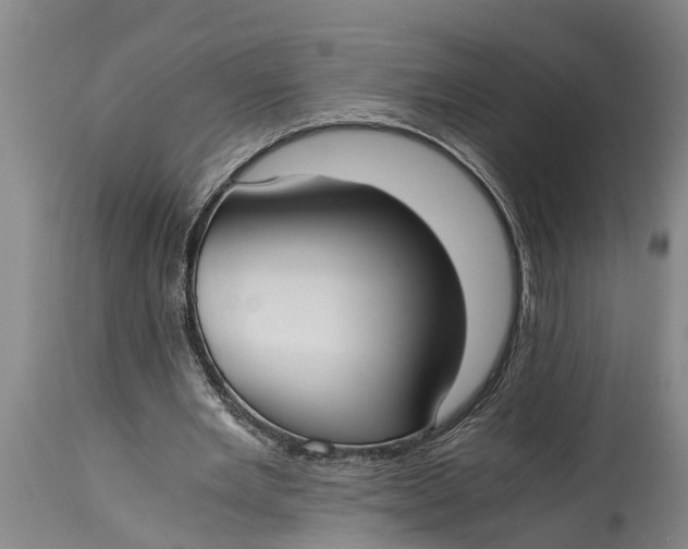 X0000114410485200911061605