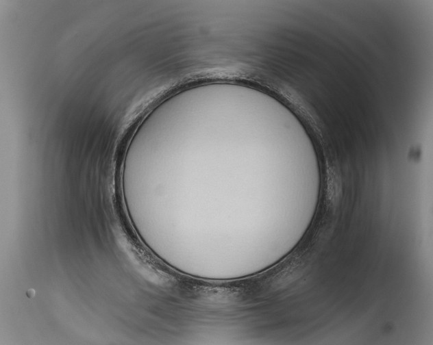 X0000114410486200911061605