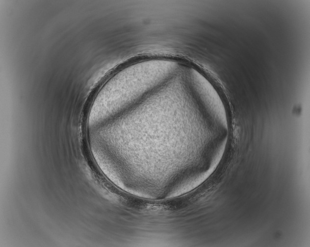 X0000114410487200911061605