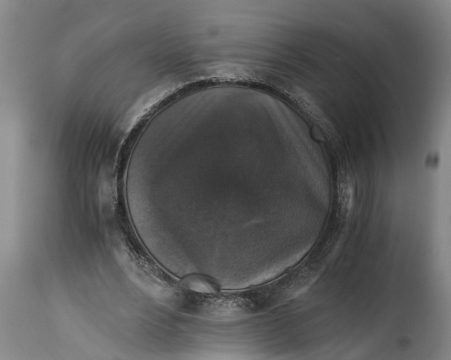 X0000114410488200911061605