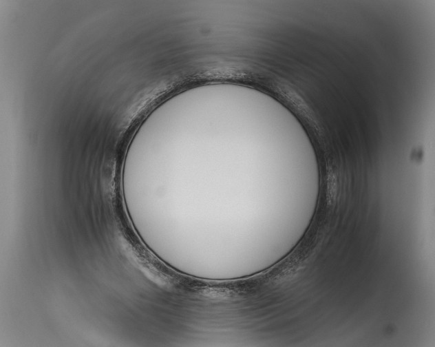 X0000114410490200911061604