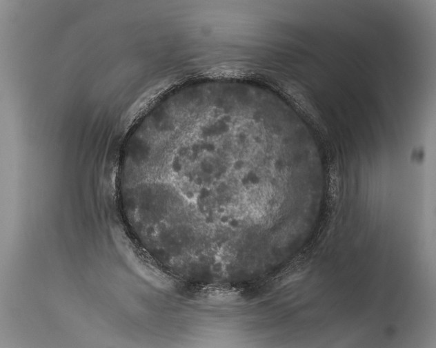 X0000114410491200911061604