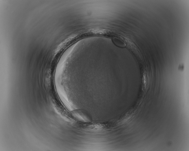 X0000114410492200911061604