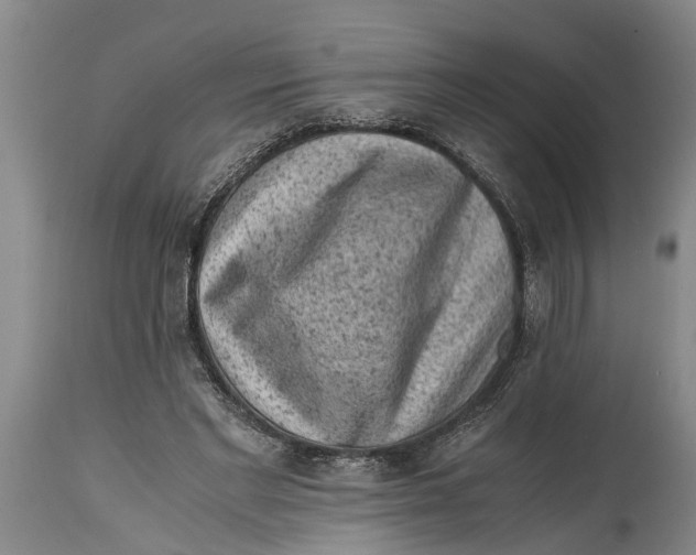 X0000114410493200911061604