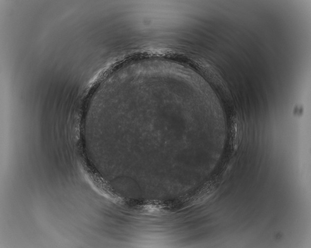 X0000114410496200911061604