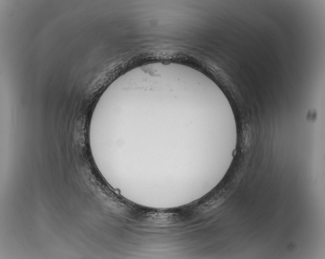 X0000114410497200911061604