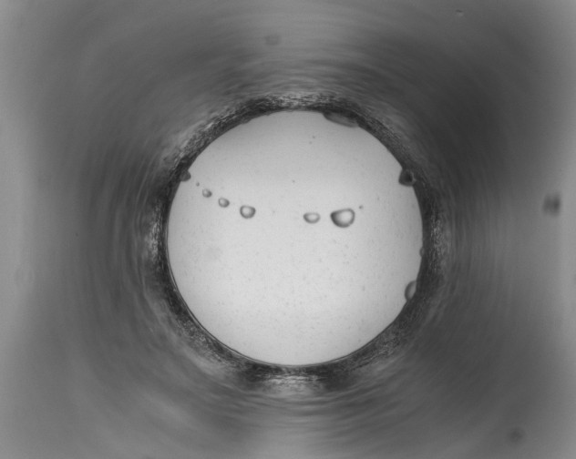 X0000114410499200911061604