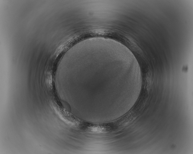 X0000114410500200911061604