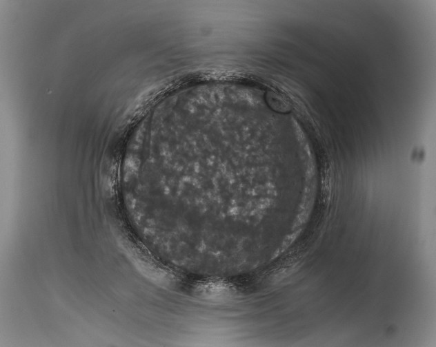 X0000114410503200911061604