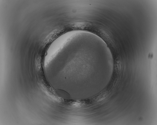 X0000114410504200911061604