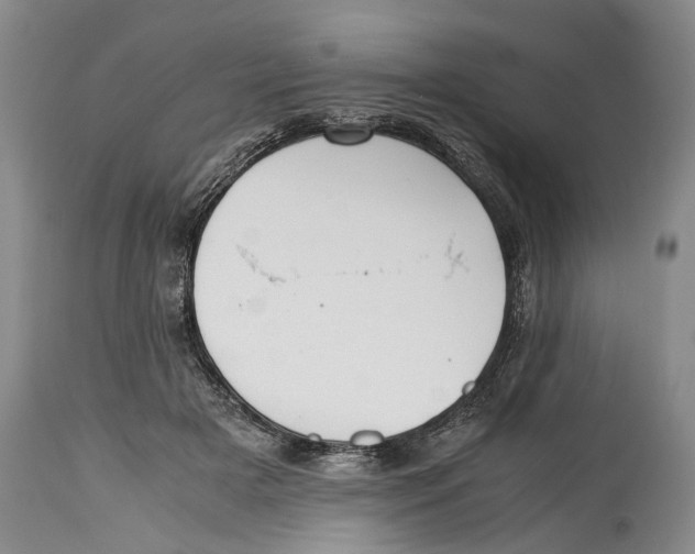 X0000114410505200911061604