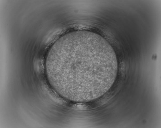 X0000114410506200911061604