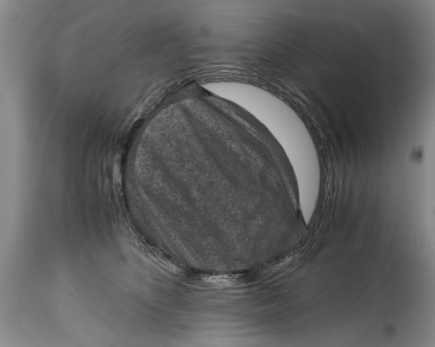 X0000114410516200911061604