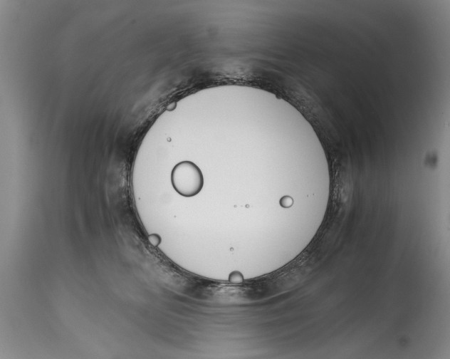 X0000114410518200911061604