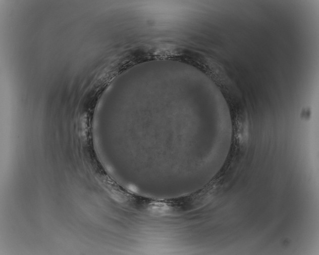 X0000114410519200911061604