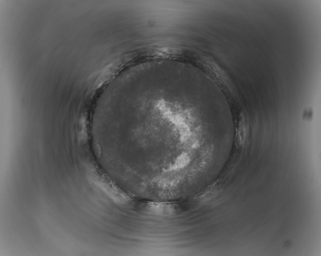 X0000114410520200911061604