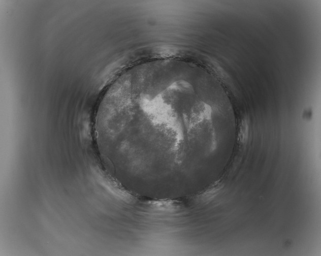 X0000114410524200911061604