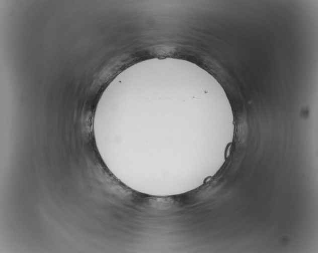 X0000114410525200911061604