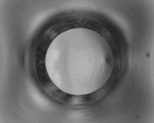 X0000114410526200911061604