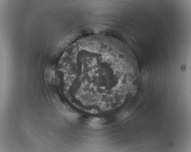 X0000114410527200911061604