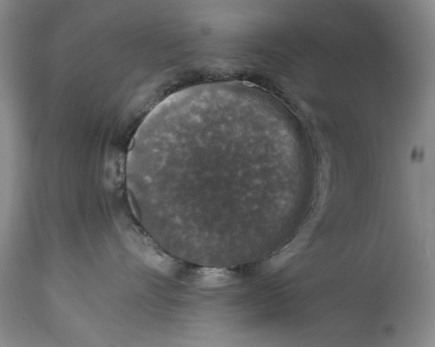 X0000114410528200911061604